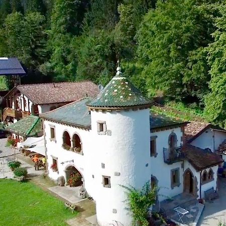 Agriturismo Randis Piano dʼArta Zewnętrze zdjęcie