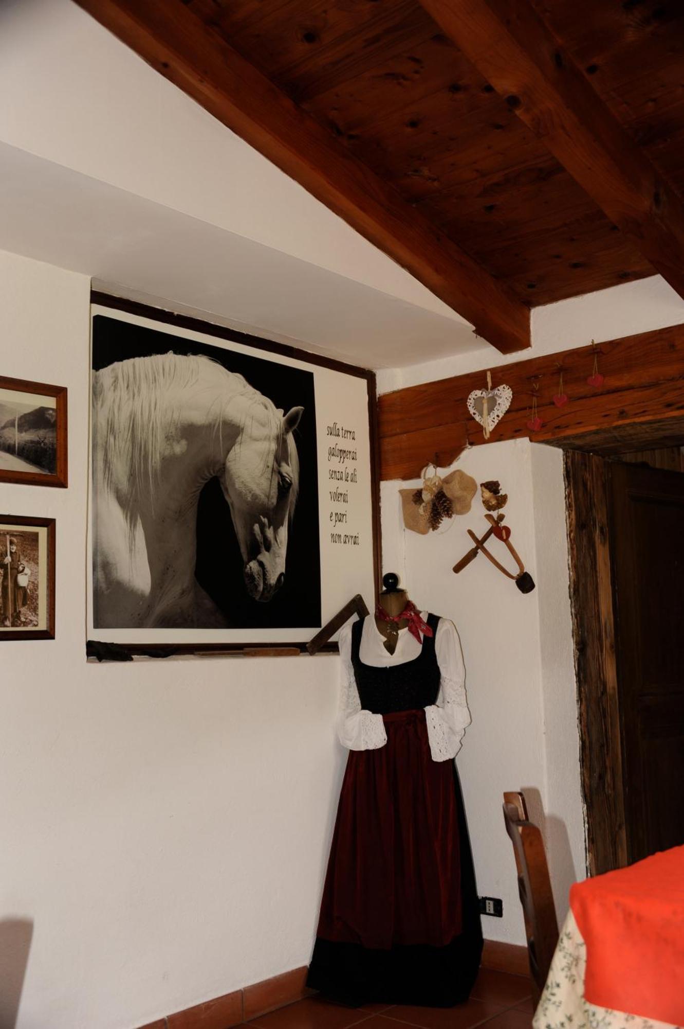 Agriturismo Randis Piano dʼArta Zewnętrze zdjęcie
