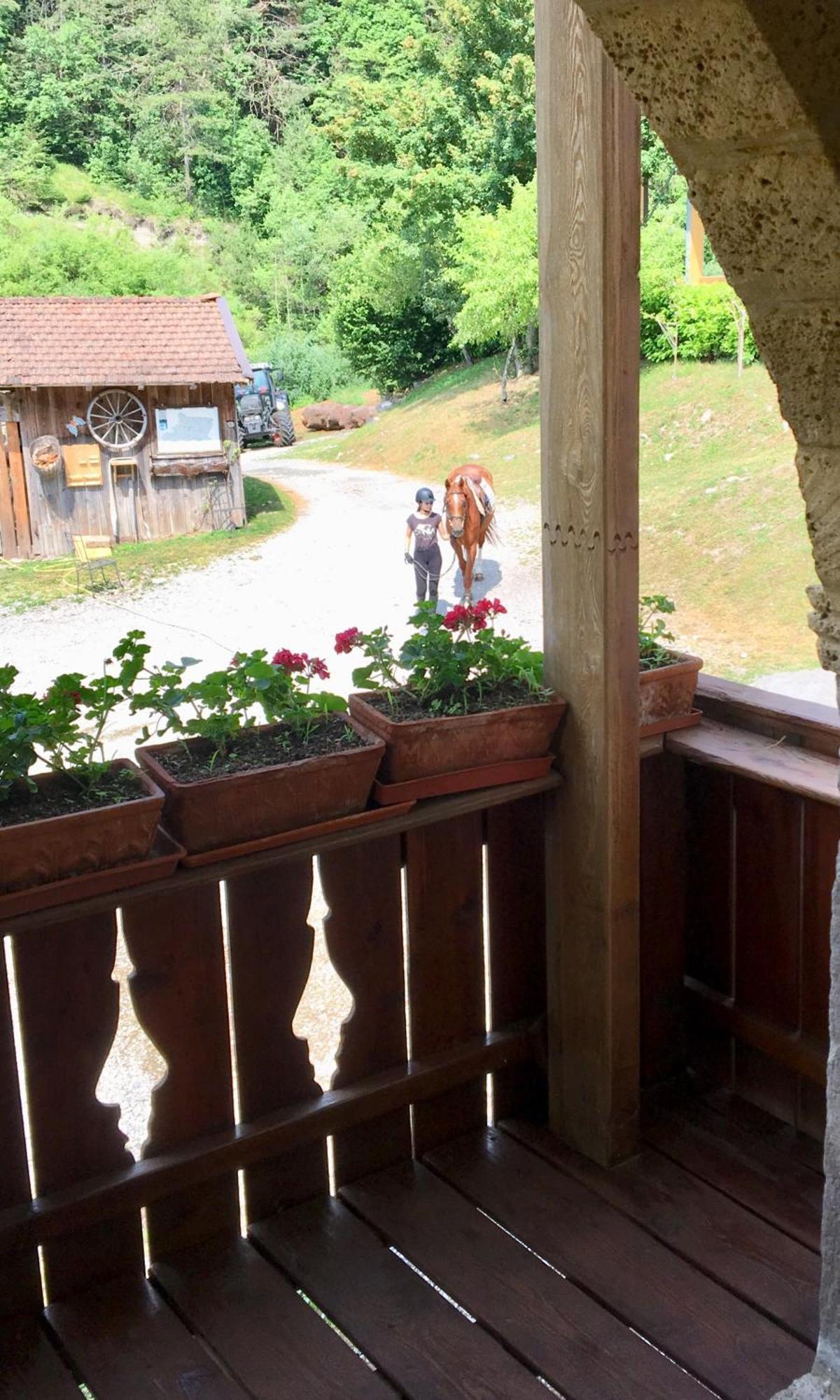 Agriturismo Randis Piano dʼArta Zewnętrze zdjęcie