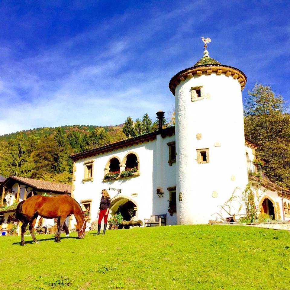 Agriturismo Randis Piano dʼArta Zewnętrze zdjęcie